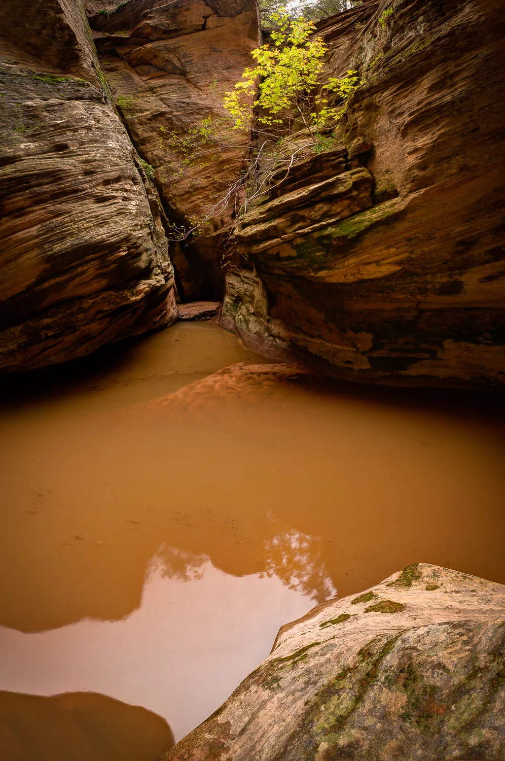 zion (44 of 61).jpg