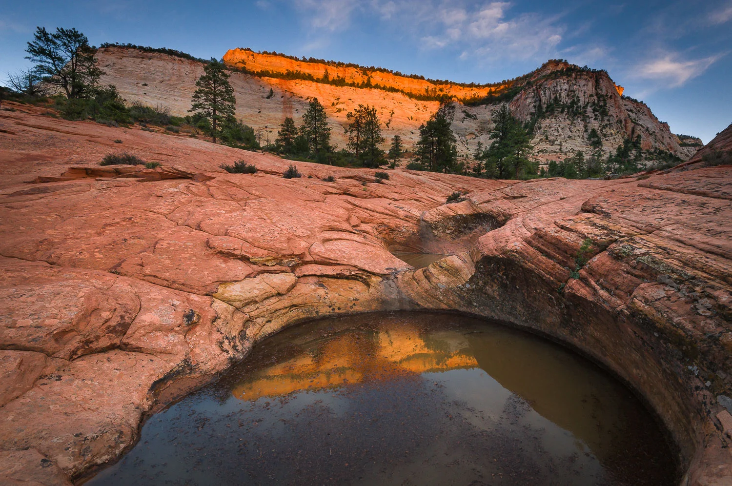 zion (52 of 61).jpg