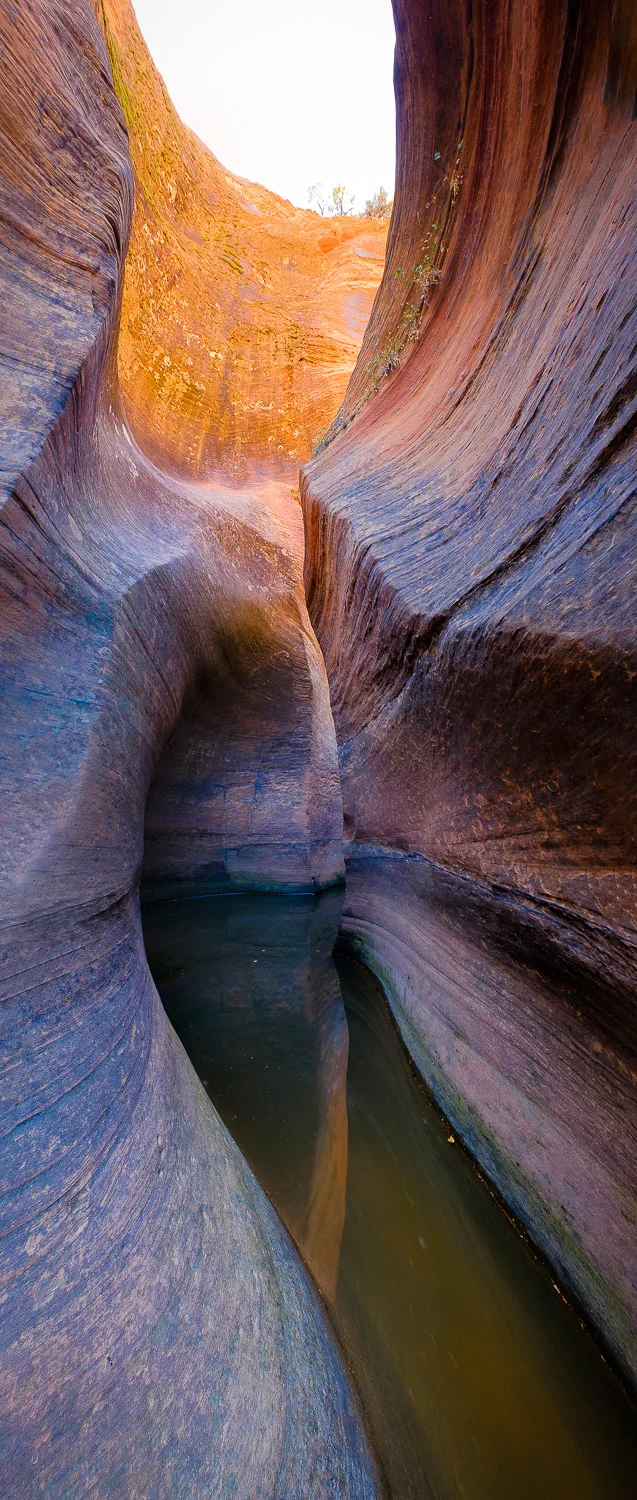 zion (54 of 61).jpg