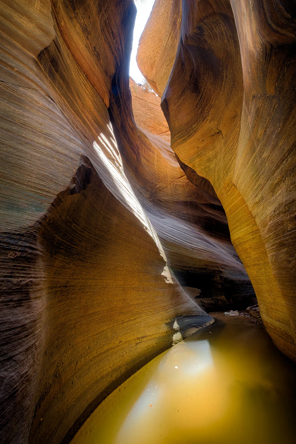 zion (61 of 61).jpg