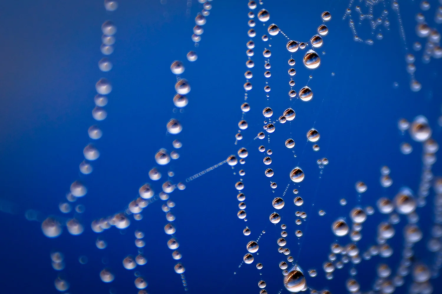 texture (1 of 77).jpg