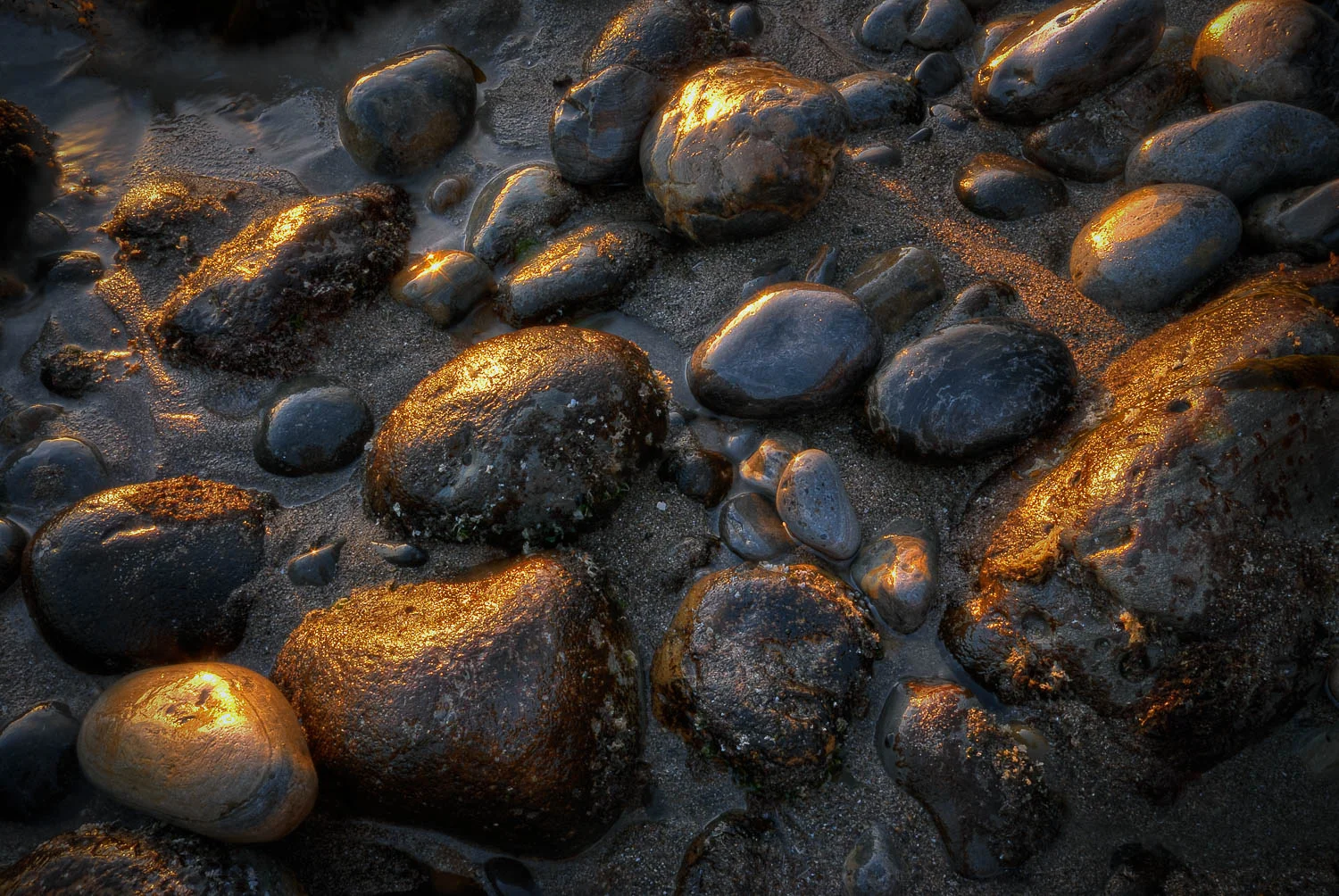 texture (14 of 77).jpg