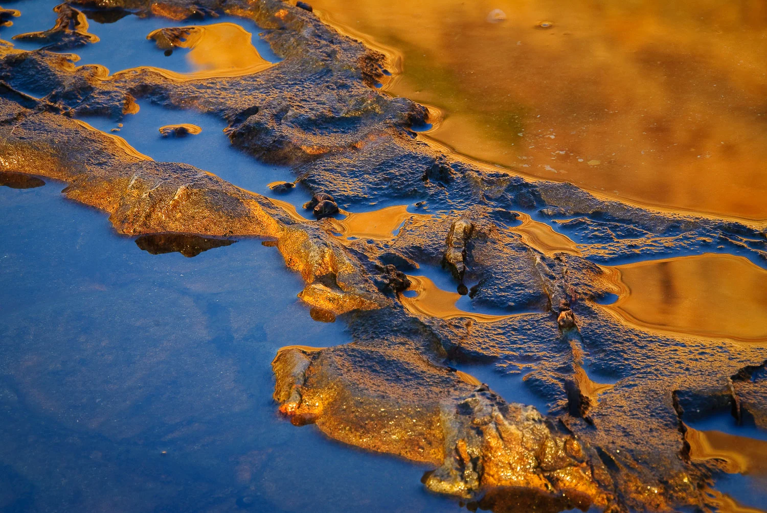 texture (15 of 77).jpg