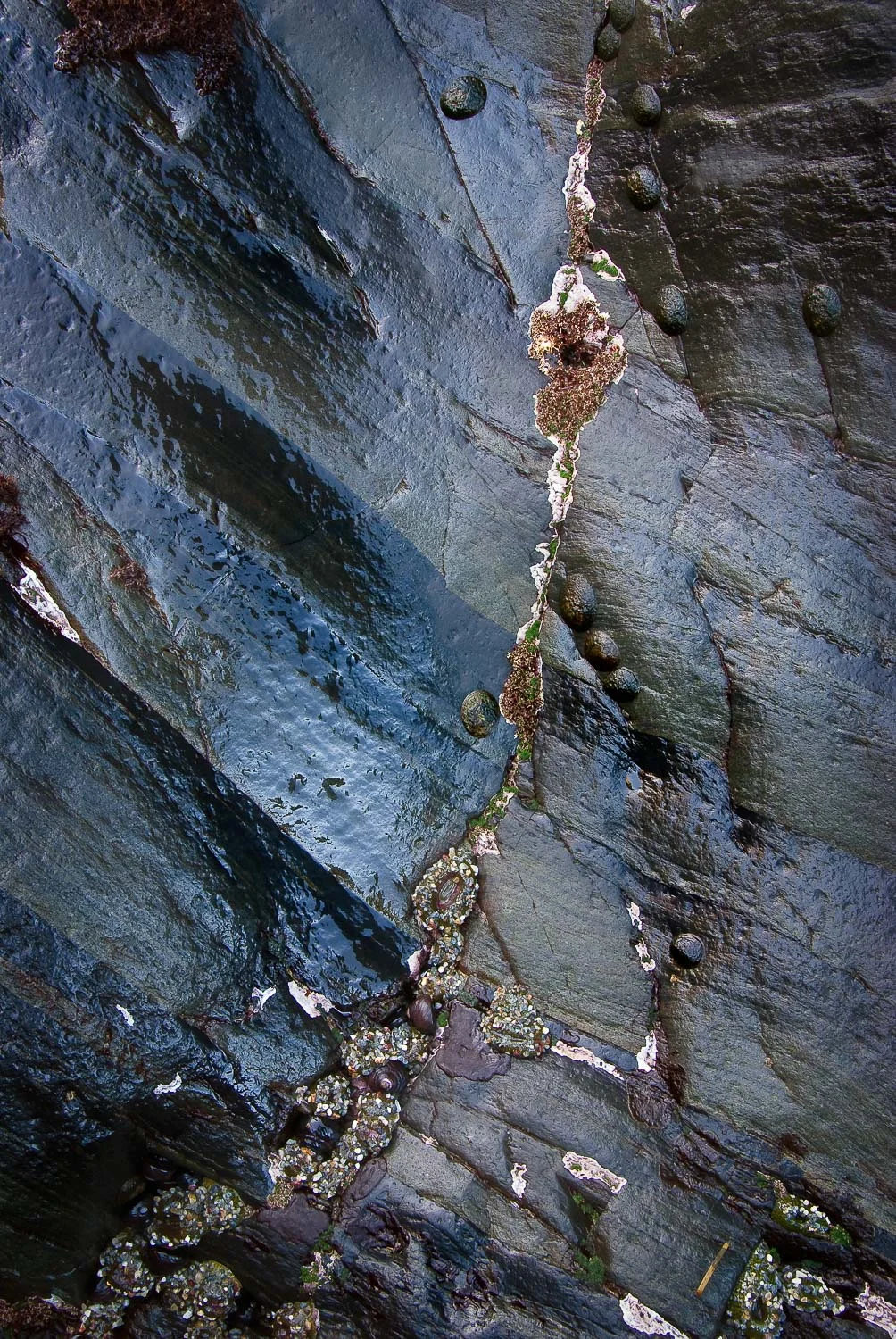 texture (20 of 77).jpg