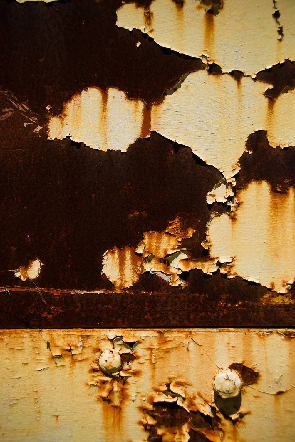 texture (22 of 77).jpg