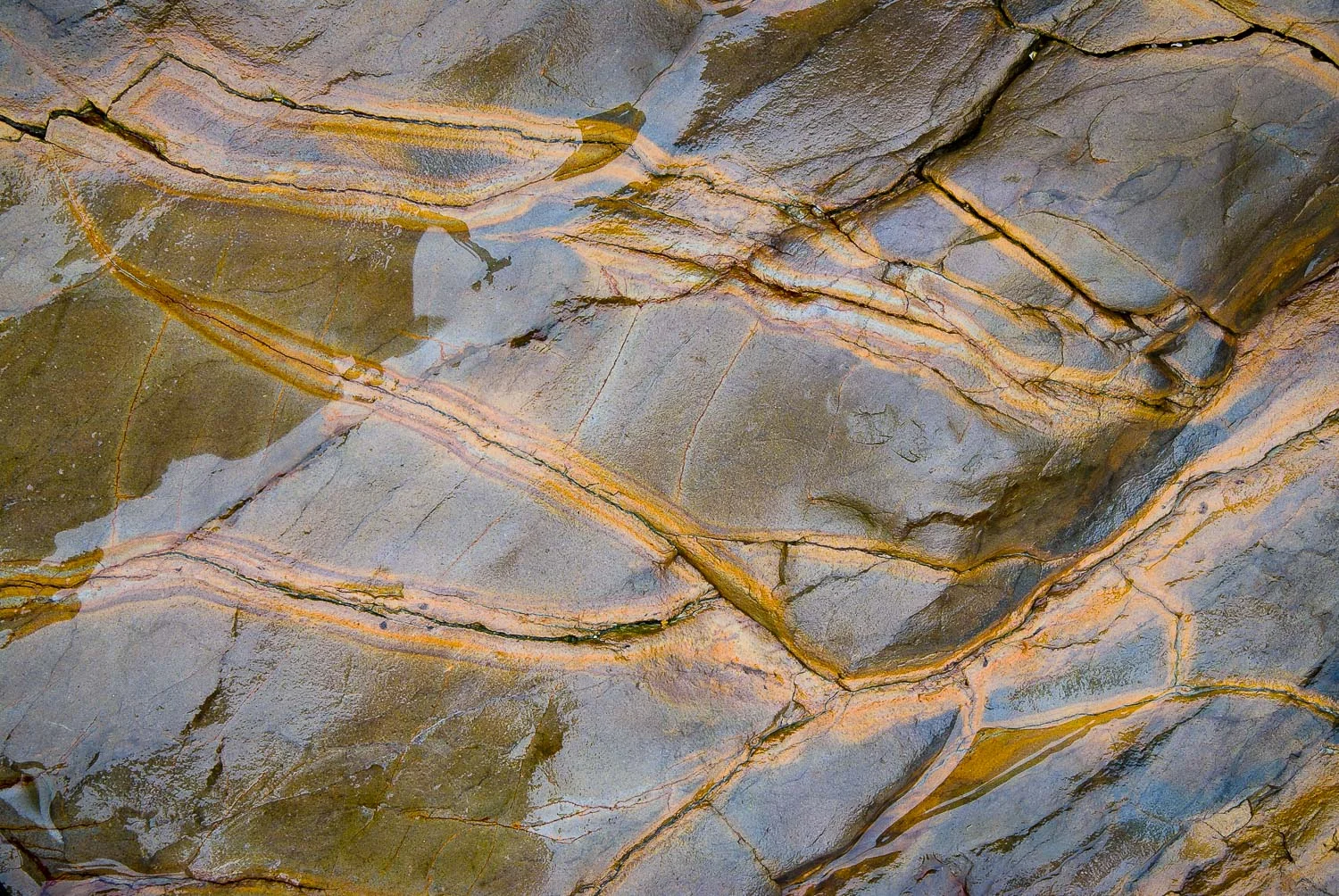 texture (33 of 77).jpg