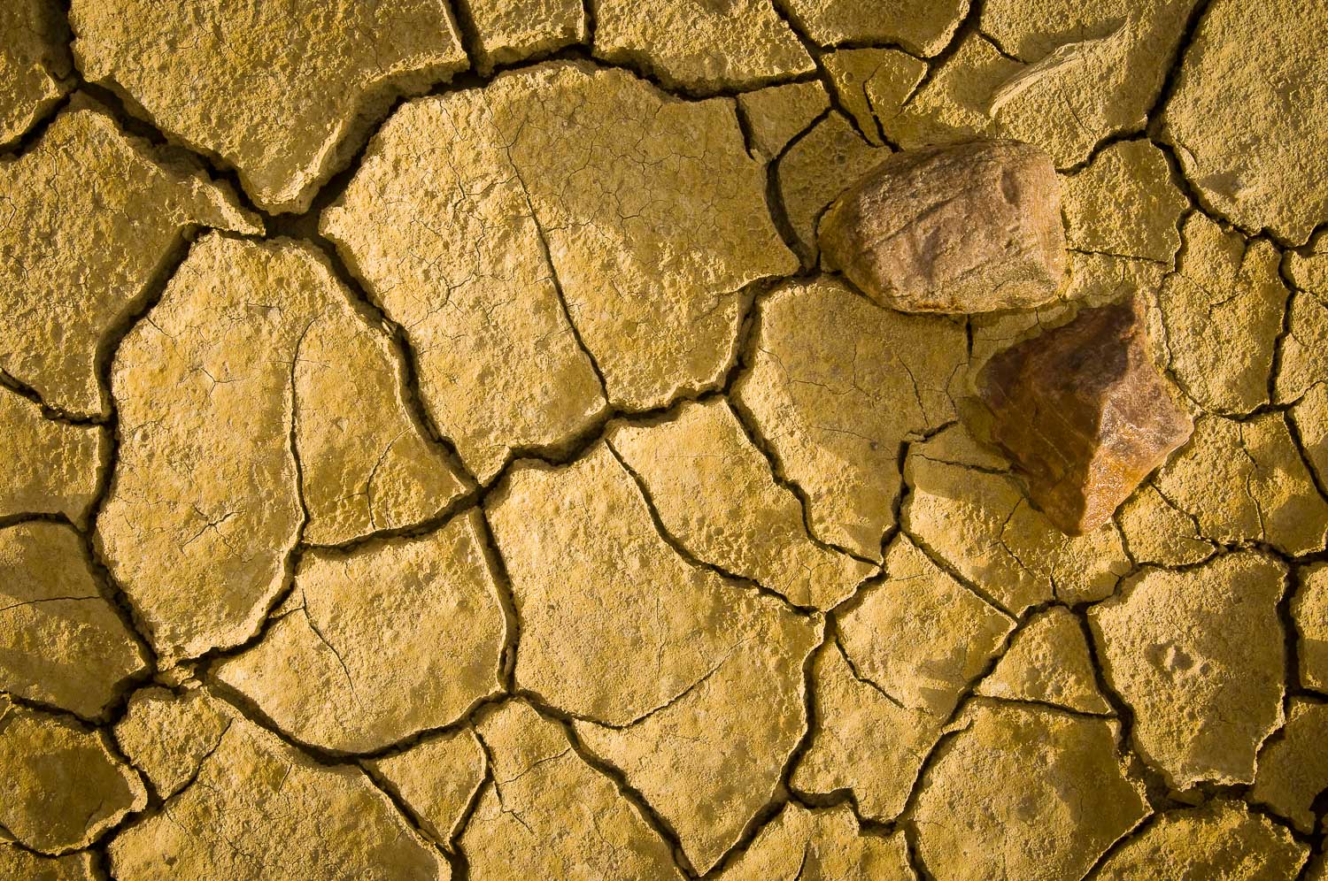 texture (39 of 77).jpg