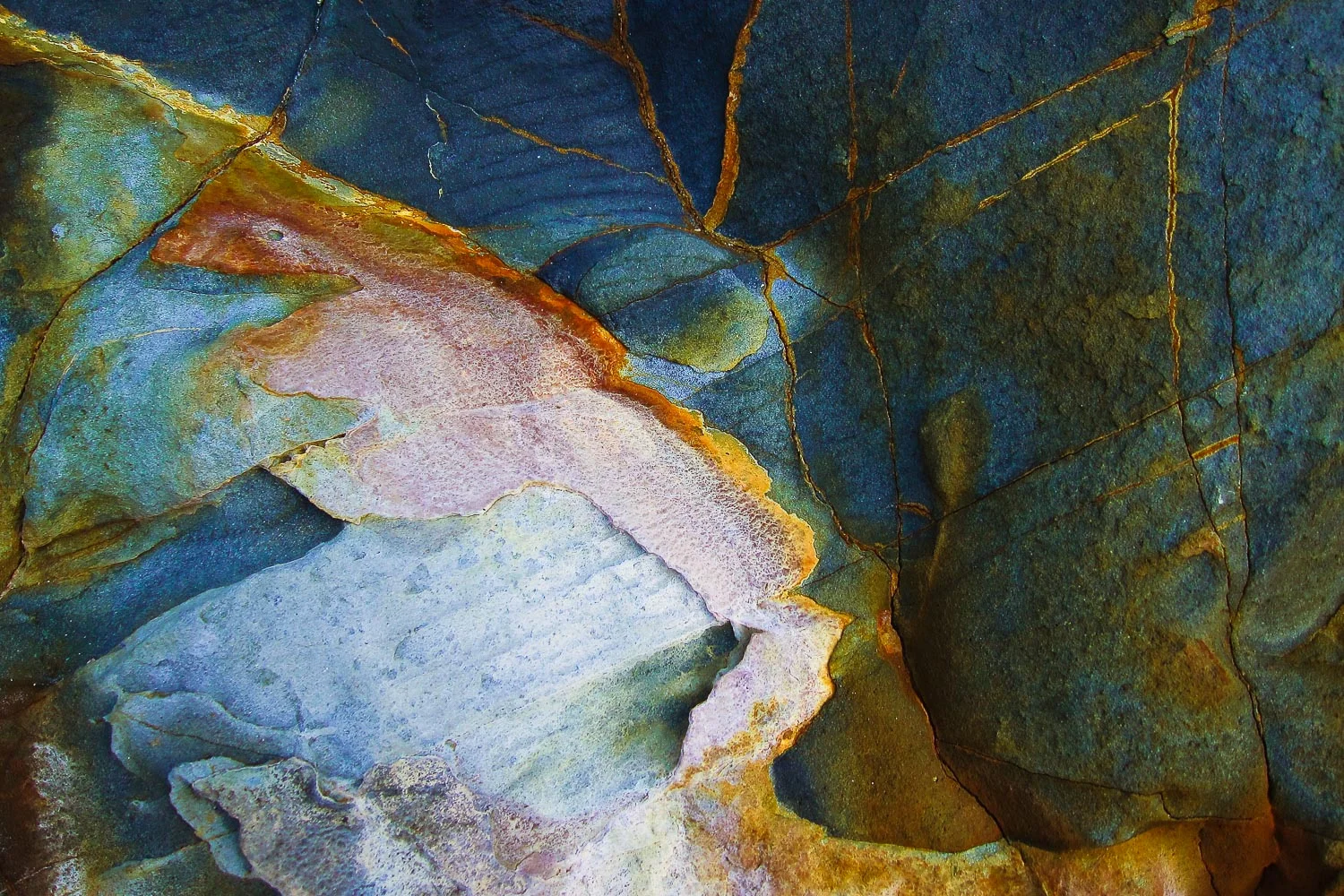 texture (42 of 77).jpg