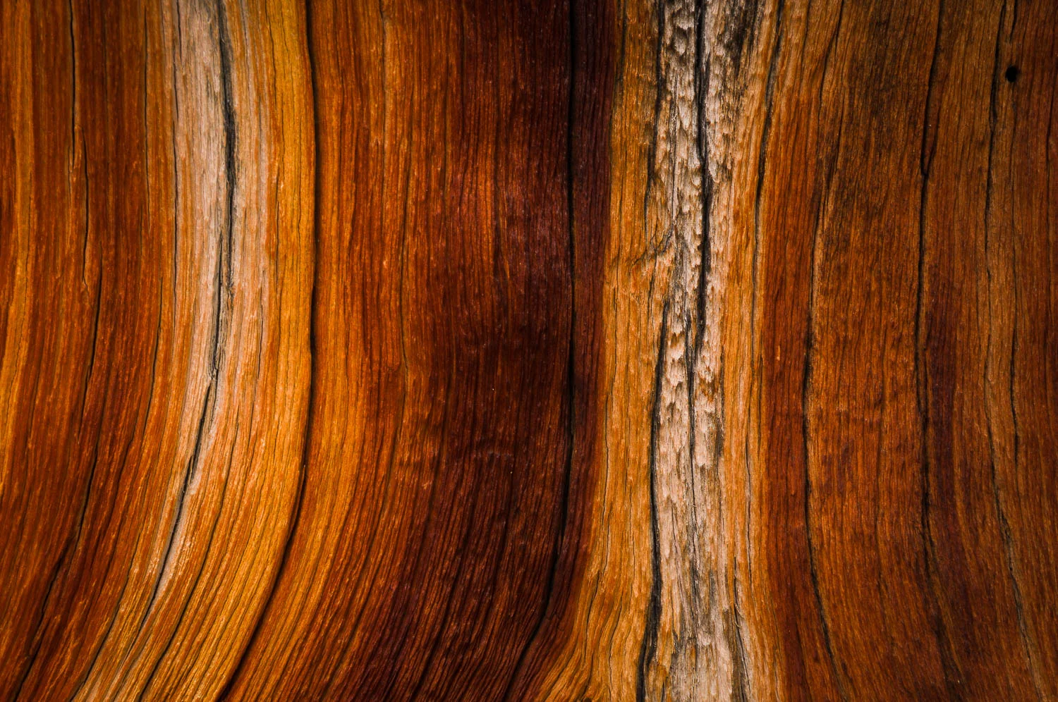 texture (56 of 77).jpg