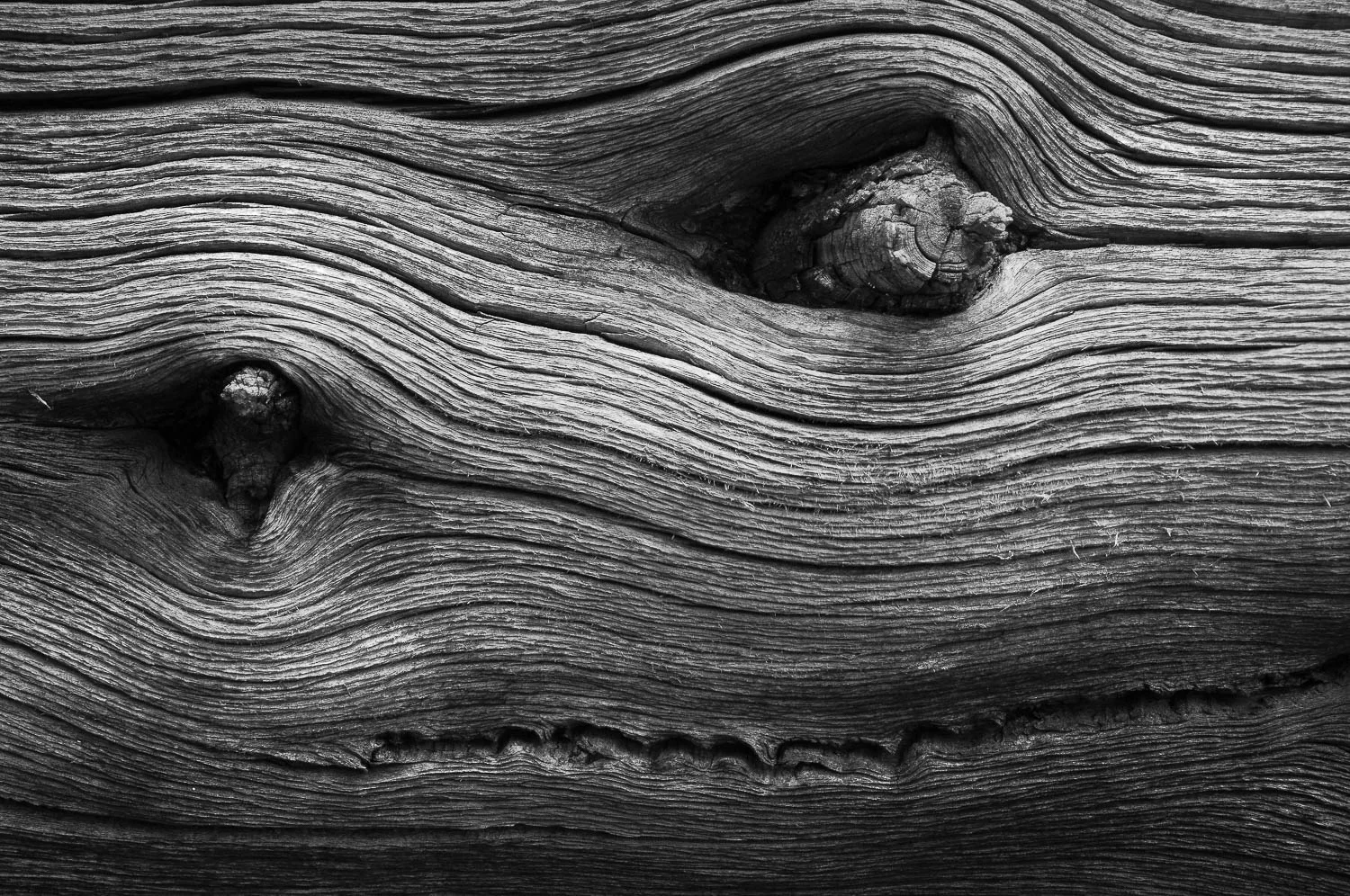 texture (57 of 77).jpg
