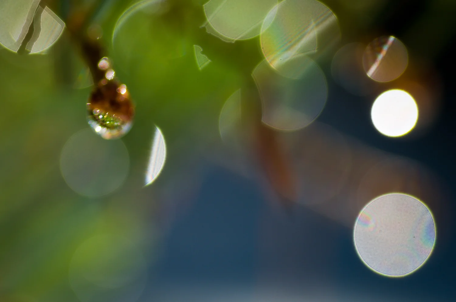 texture (62 of 77).jpg