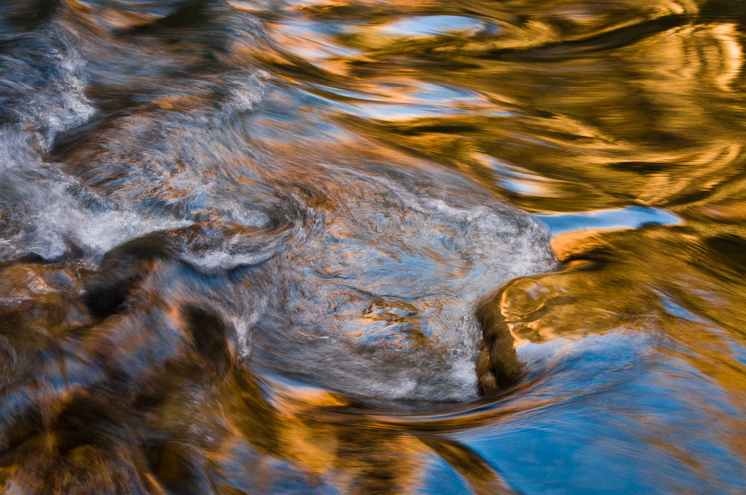 texture (65 of 77).jpg