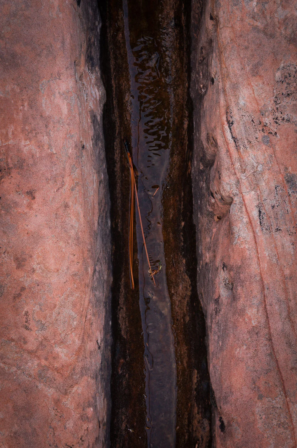 texture (67 of 77).jpg