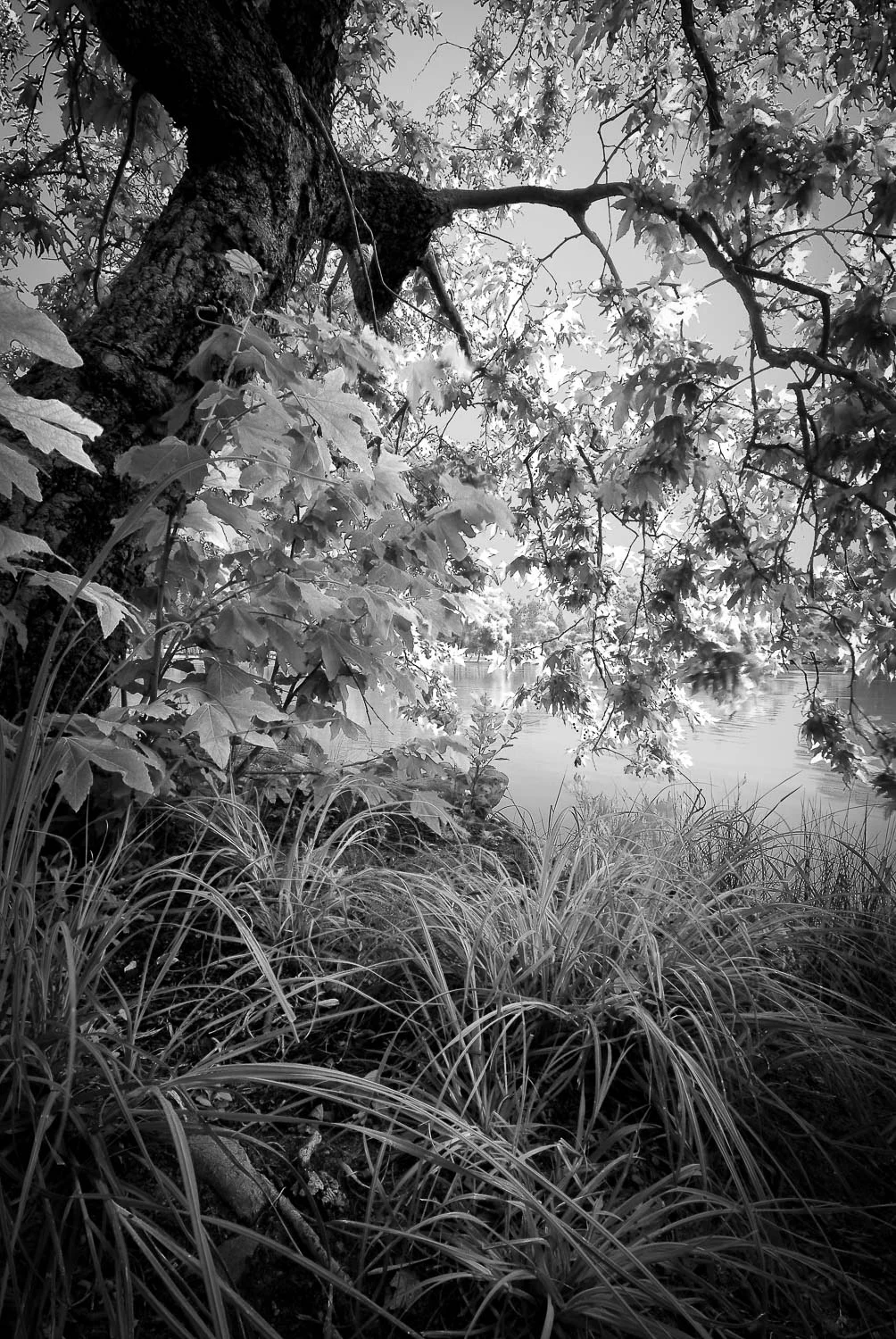 otherwild (2 of 57).jpg