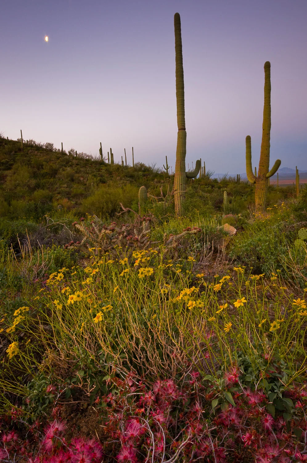 otherwild (26 of 57).jpg