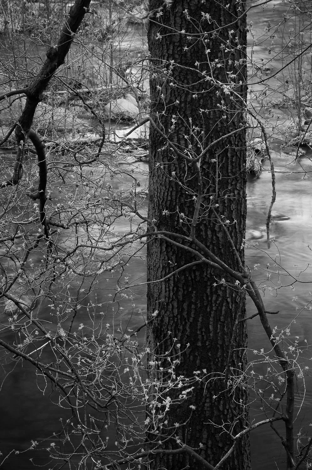 otherwild (32 of 57).jpg