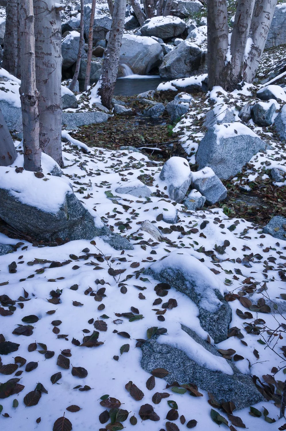 otherwild (41 of 57).jpg