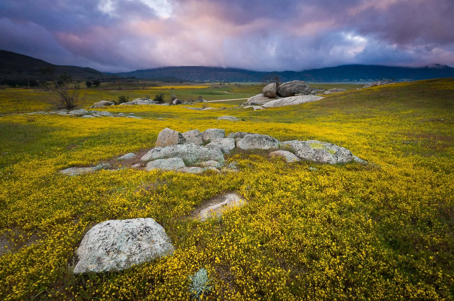 otherwild (42 of 57).jpg