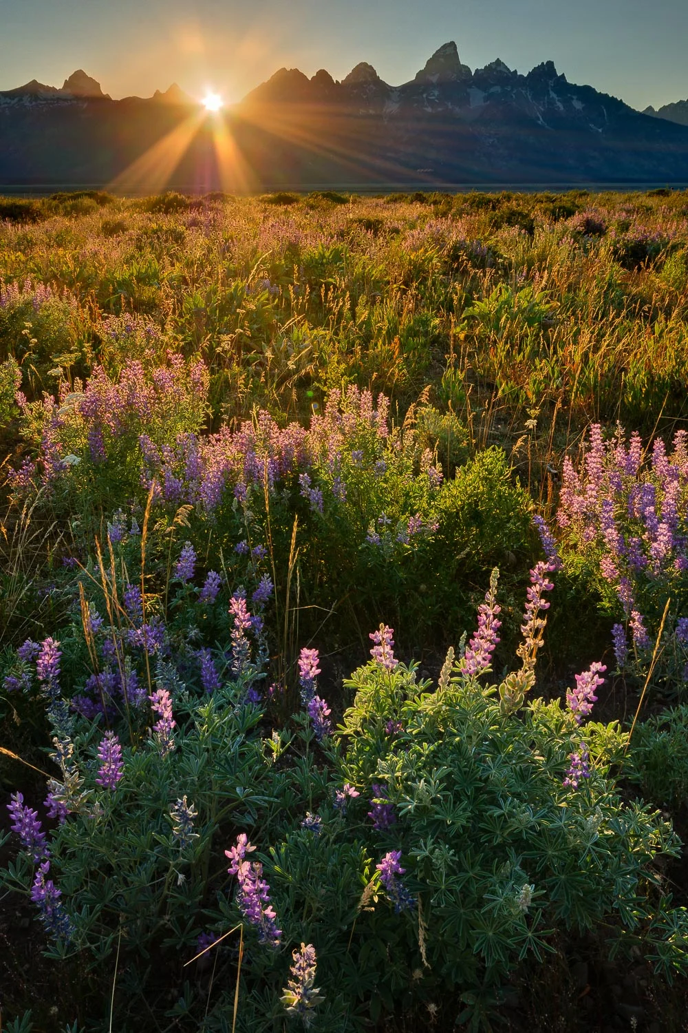 otherwild (47 of 57).jpg