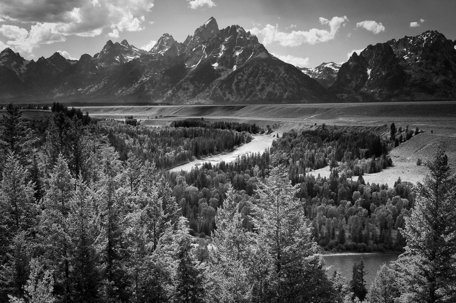 otherwild (51 of 57).jpg