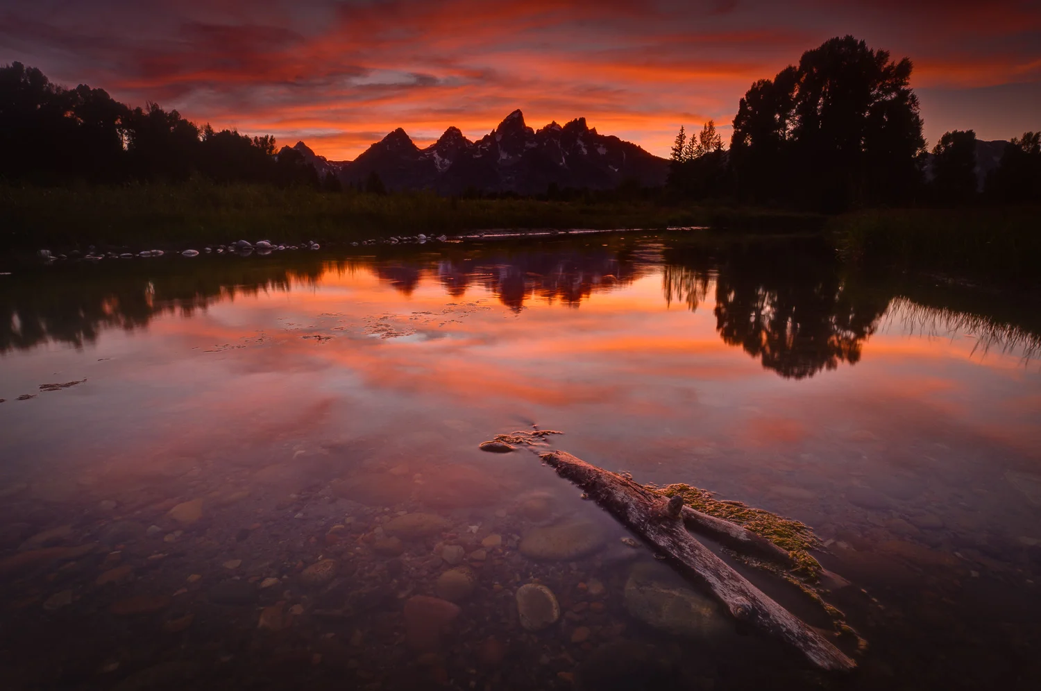 otherwild (53 of 57).jpg