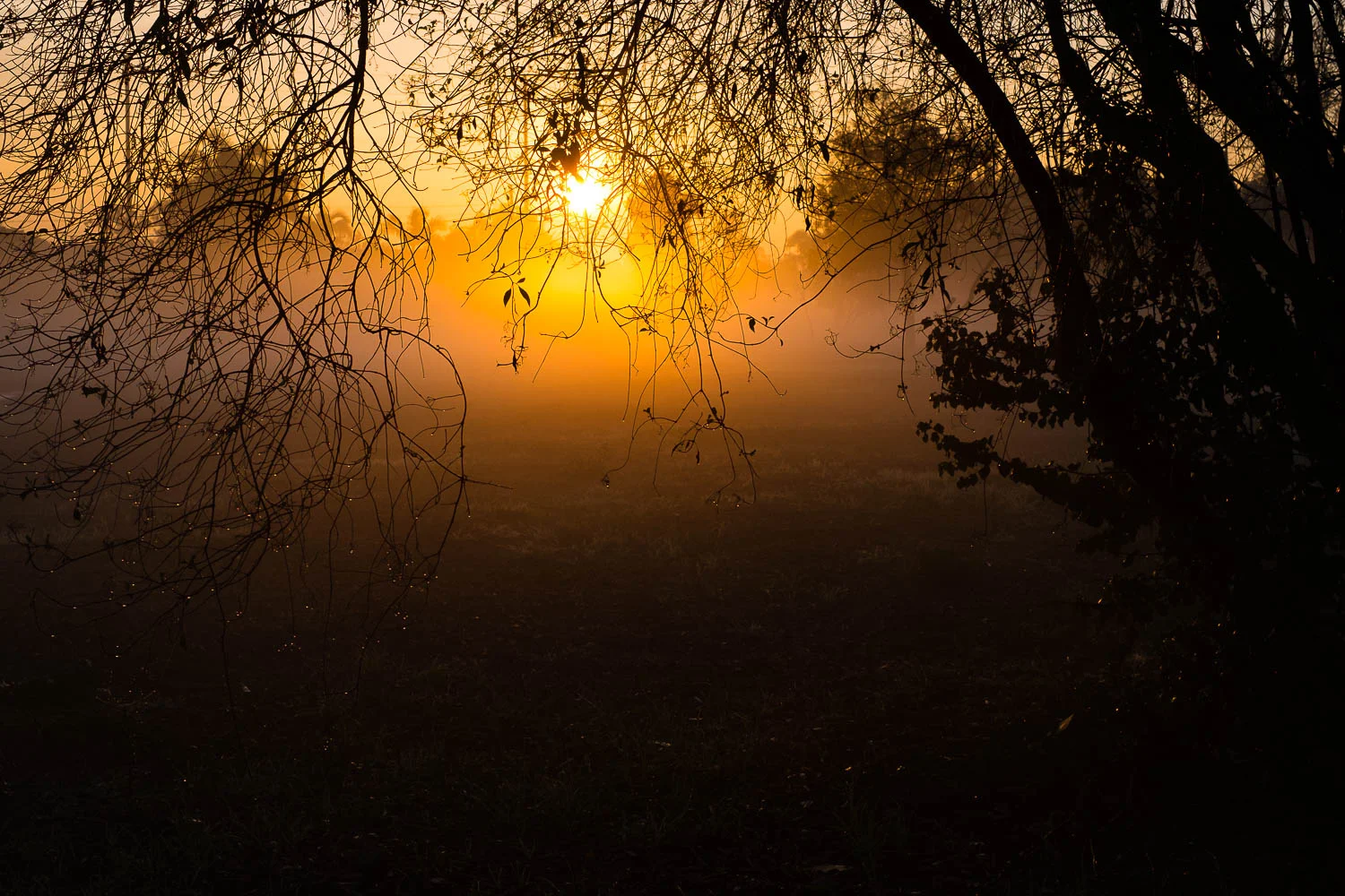 otherwild (55 of 57).jpg
