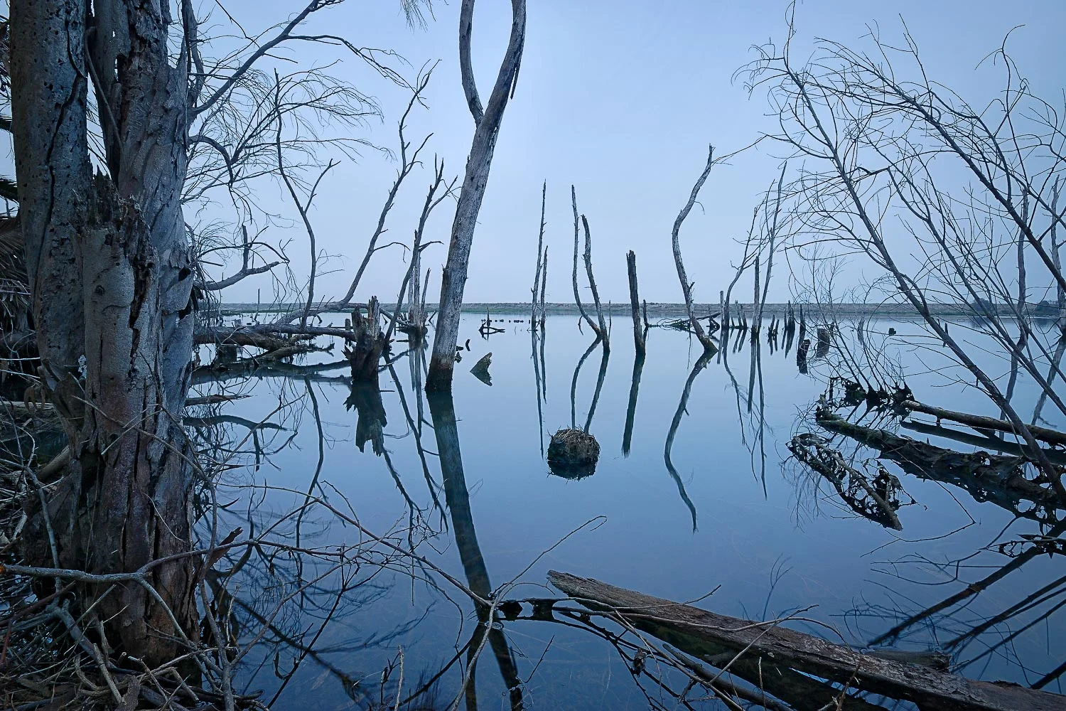 Crystal Blue Morning