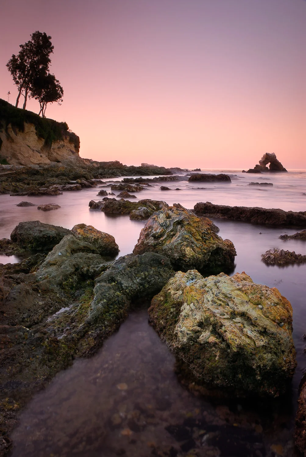 socal (4 of 56).jpg
