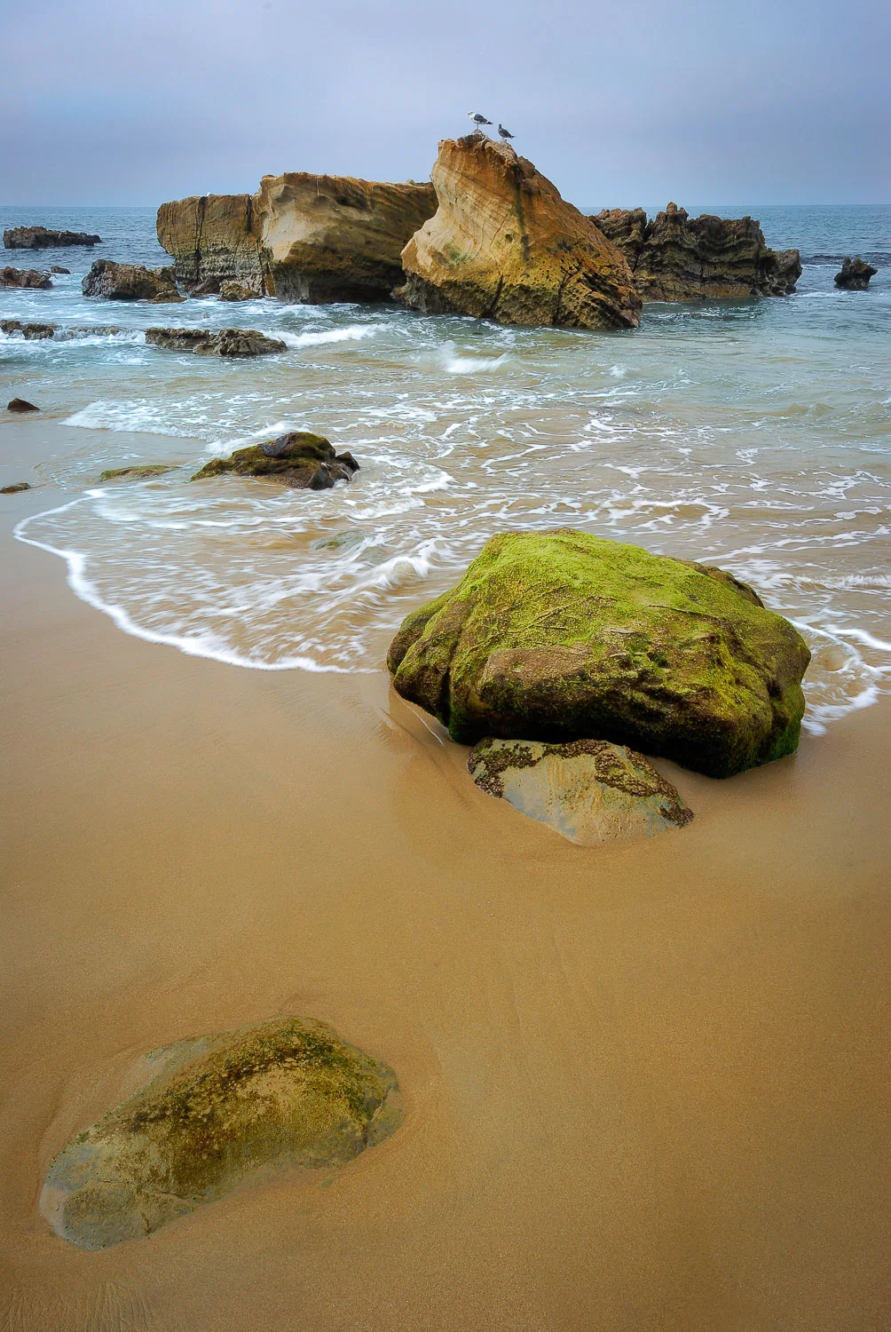 socal (7 of 56).jpg