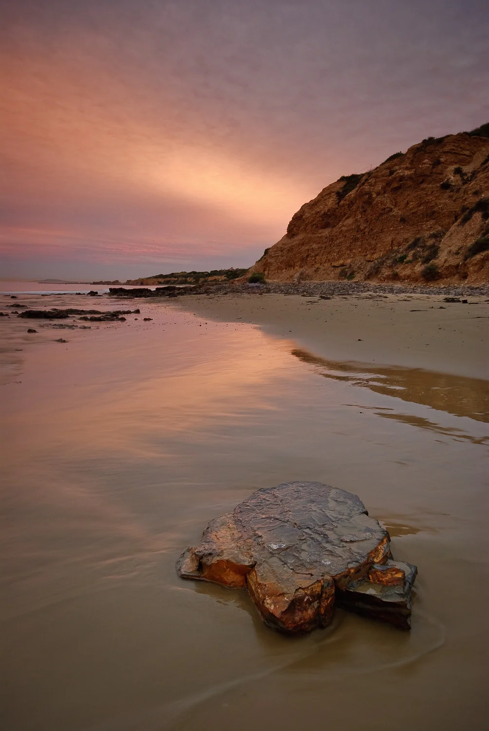 socal (22 of 56).jpg