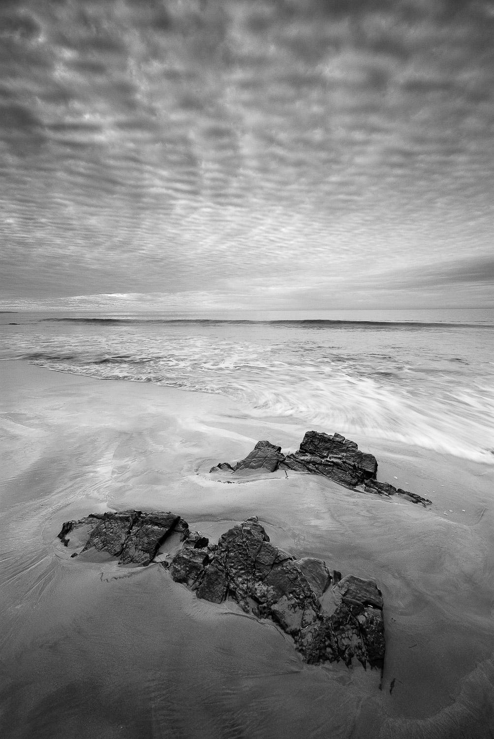 socal (23 of 56).jpg