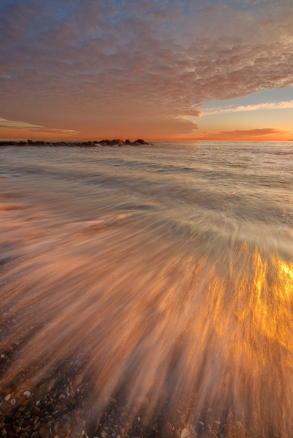 socal (24 of 56).jpg