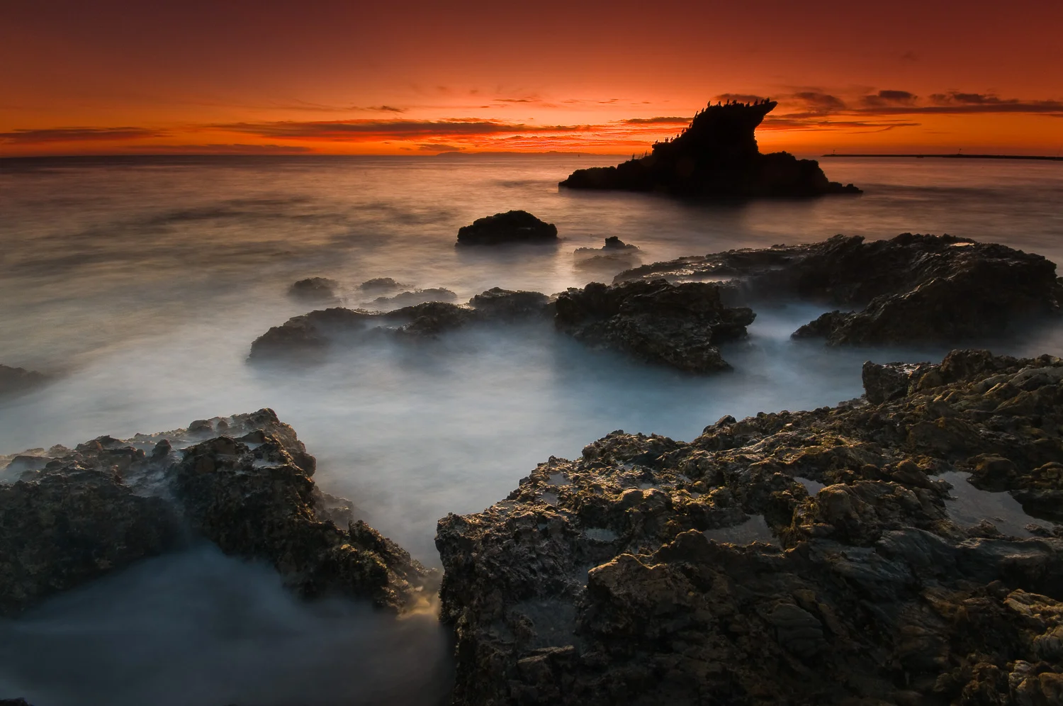 socal (41 of 56).jpg