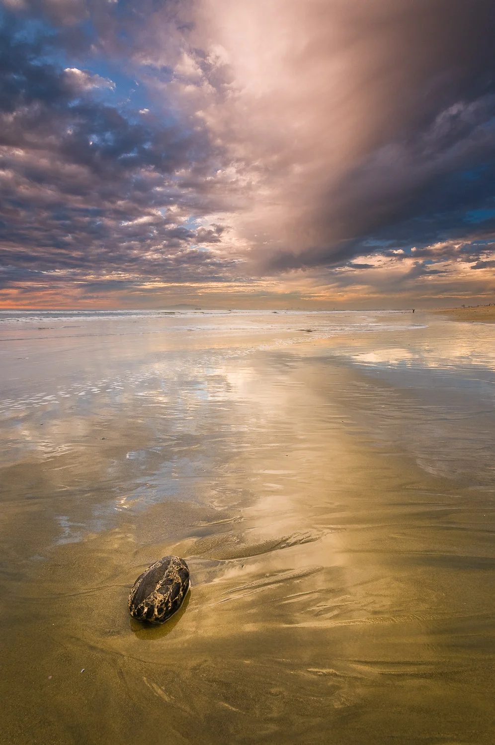 socal (47 of 56).jpg