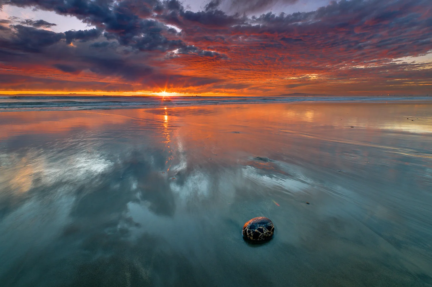 socal (48 of 56).jpg