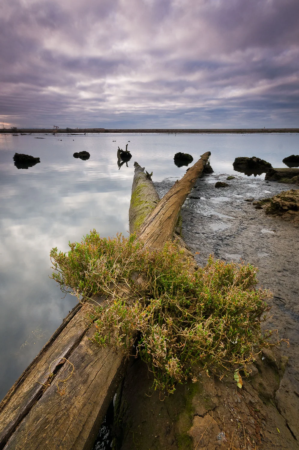 socal (56 of 56).jpg
