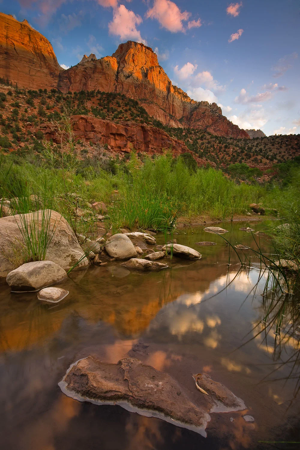 Beside the Virgin River