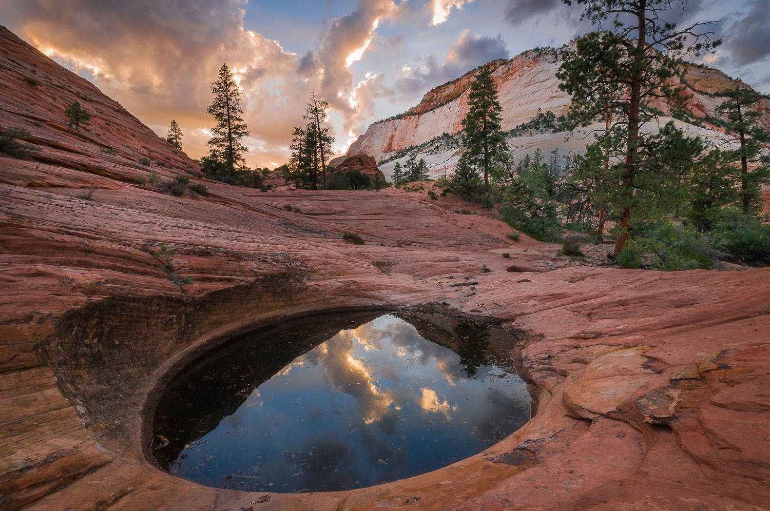 East Rim Waterhole