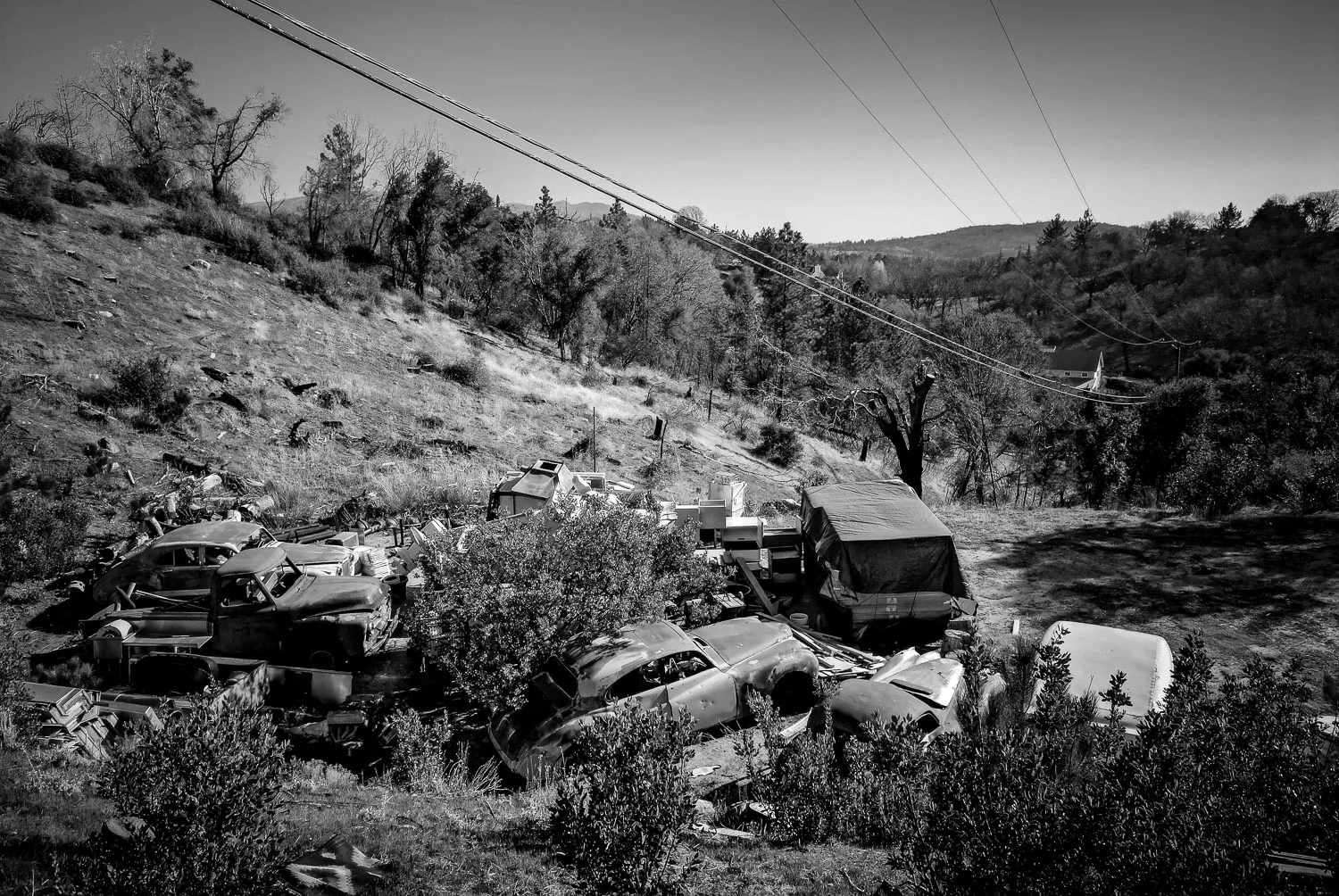 julian08_0822.jpg
