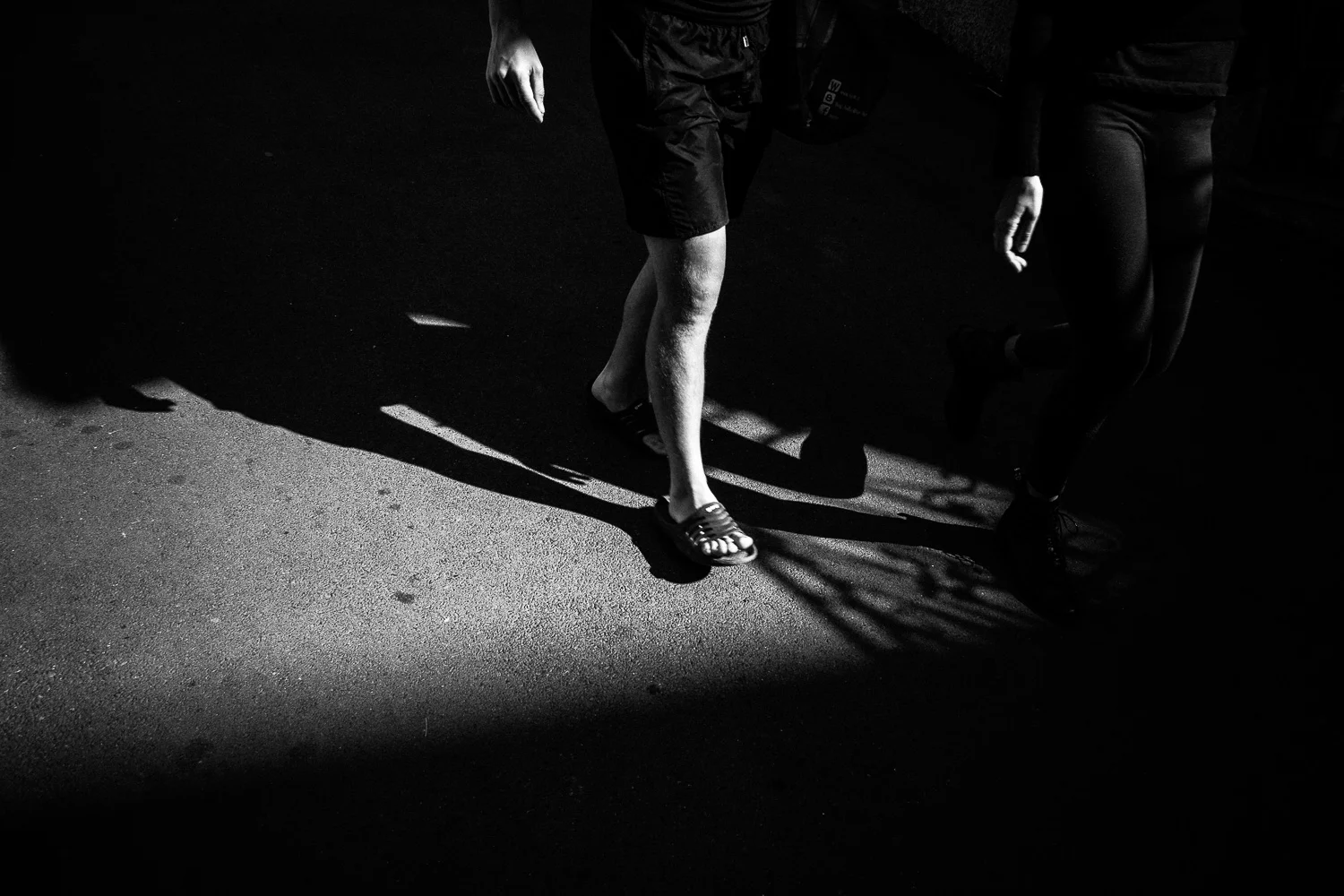 _MD24041.jpg