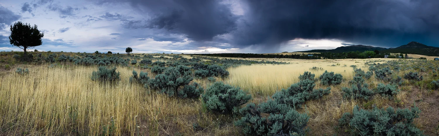 _MDX2432-Pano.jpg