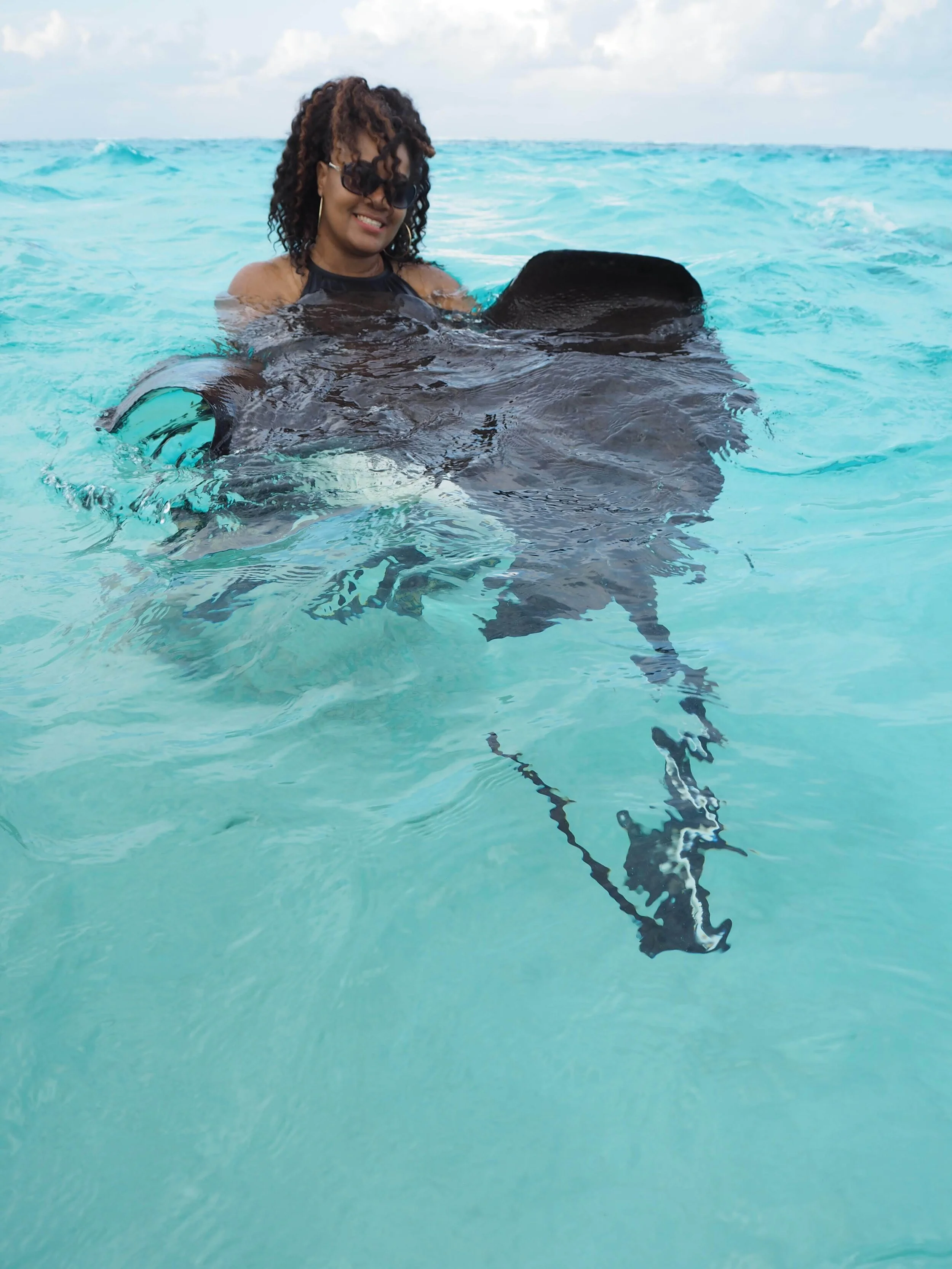 stingray3.jpg
