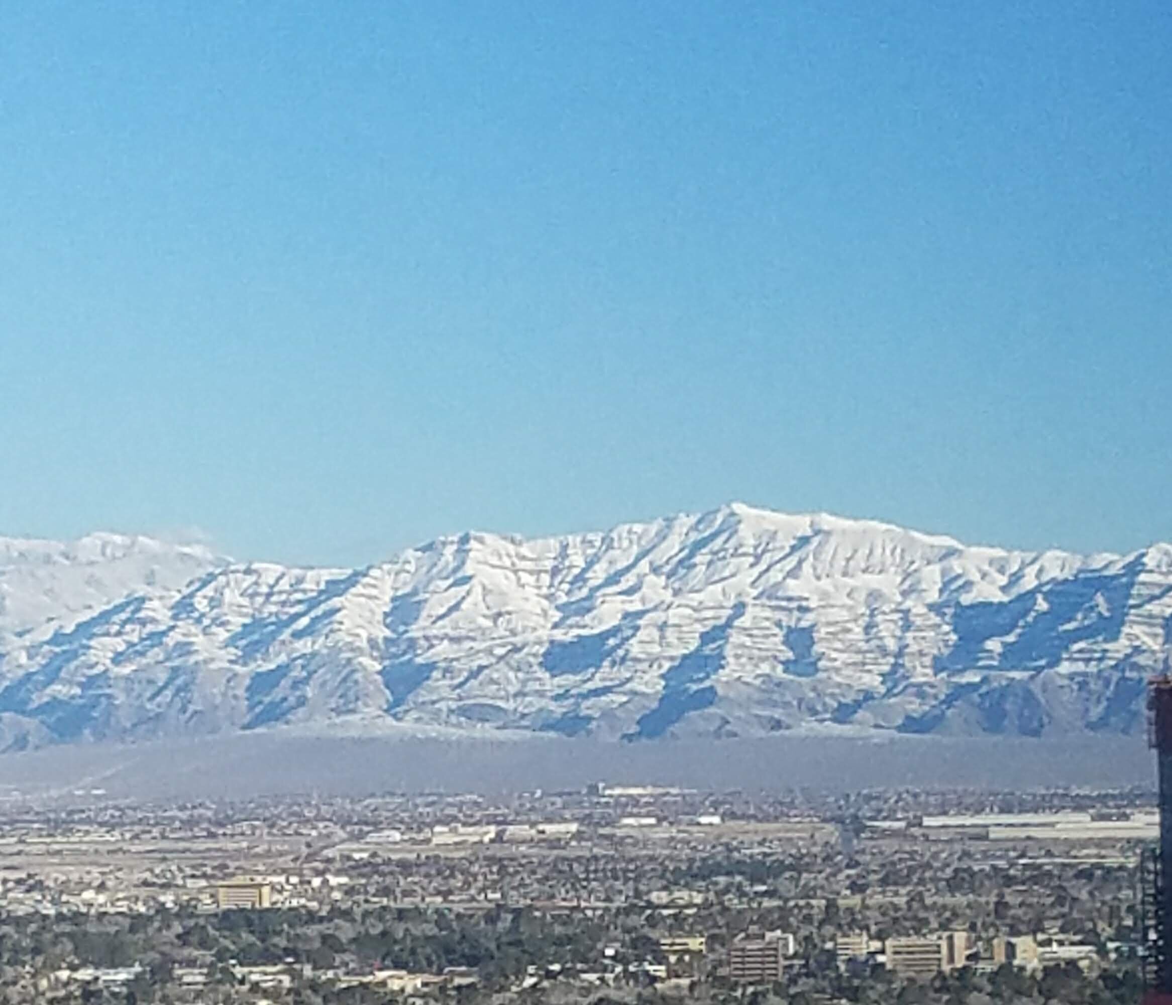 20190222_075958.jpg