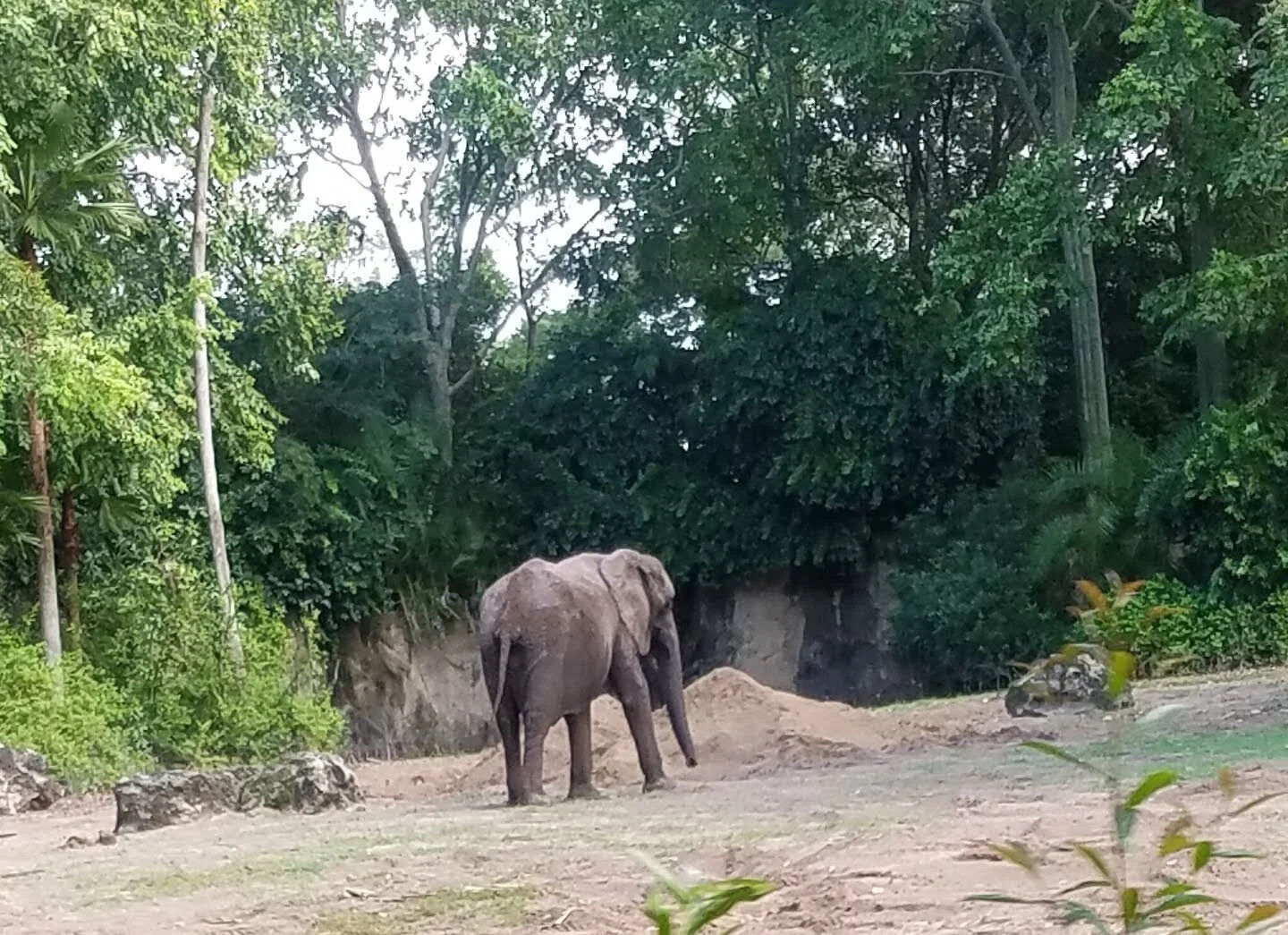 20191016_150837.jpg
