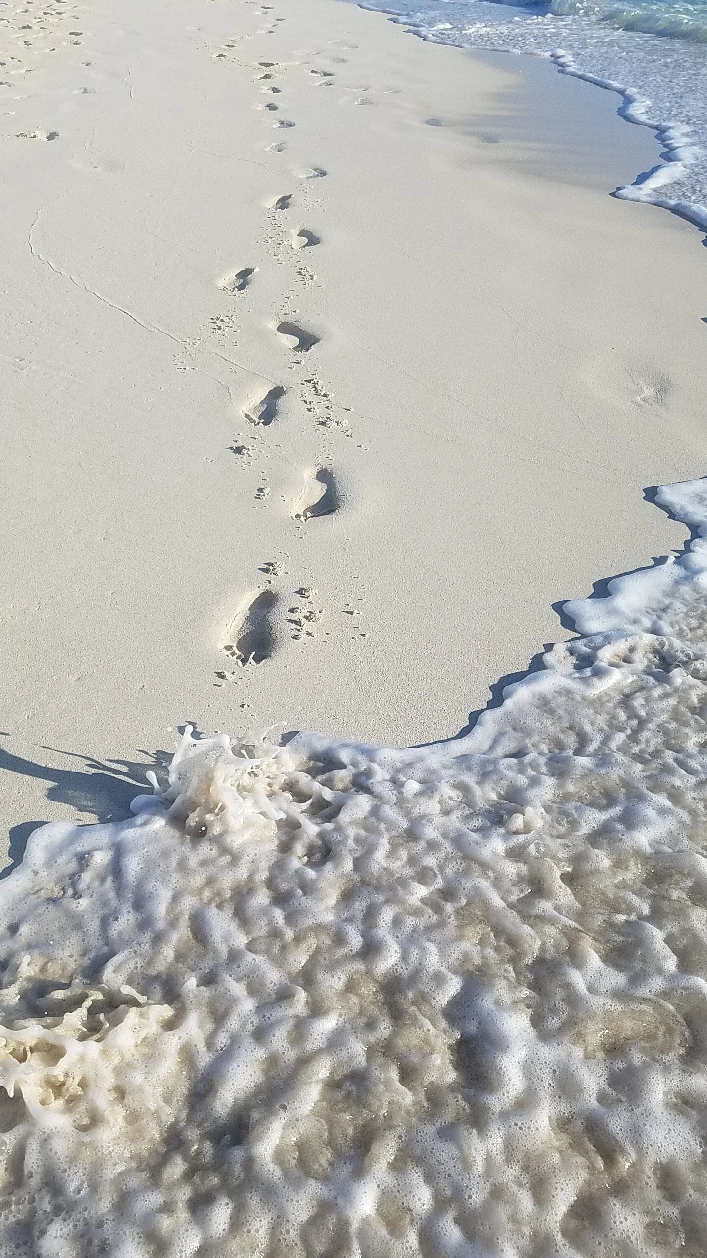 20191124_082148.jpg