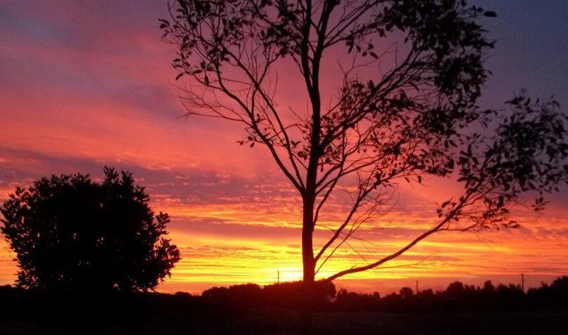sunset in australia.jpg
