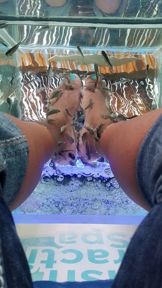 toes and fish.jpg