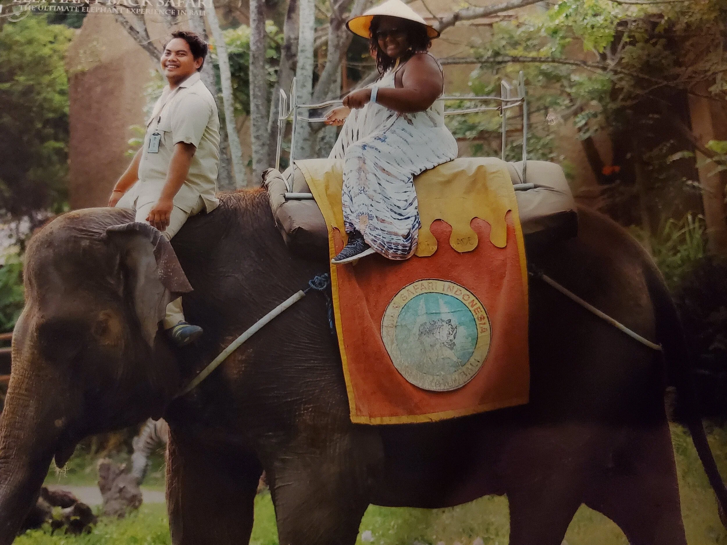 Riding the Elephant.jpg