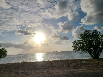 20210423_174517-scale-2.jpg