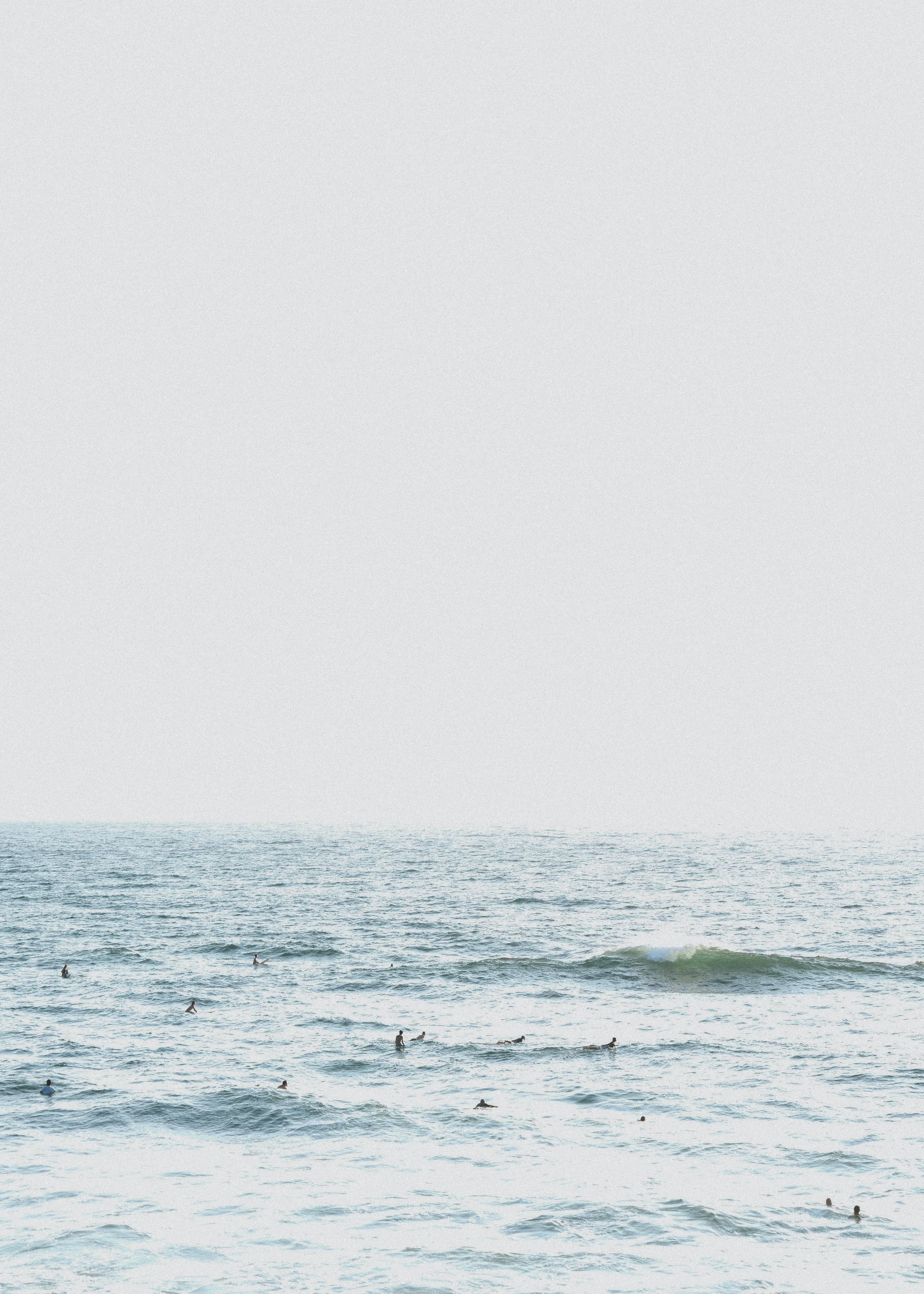 SurferDecember 03, 2018-1-2.jpg